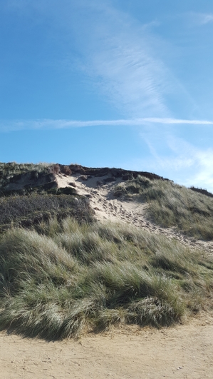 Sylt